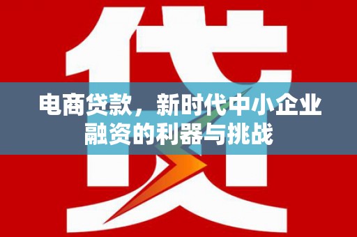 西乌旗电商贷款，新时代中小企业融资的利器与挑战
