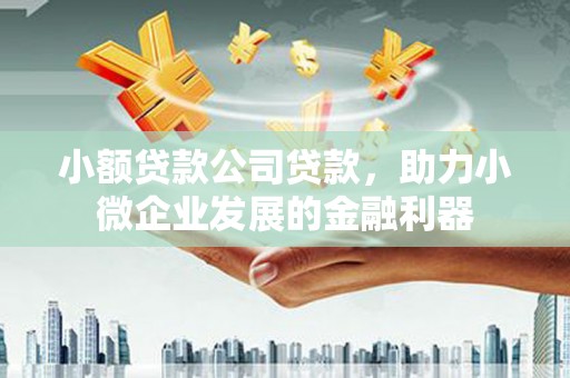 西乌旗小额贷款公司贷款，助力小微企业发展的金融利器