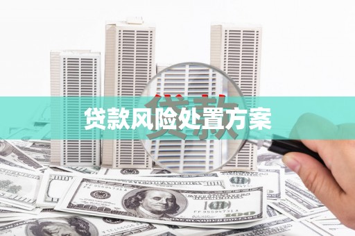 西乌旗贷款风险处置方案