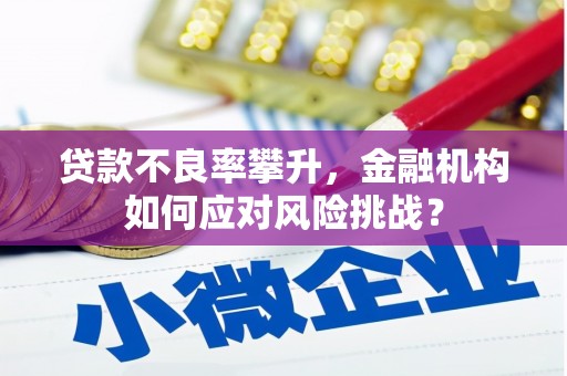 西乌旗贷款不良率攀升，金融机构如何应对风险挑战？