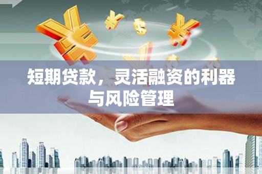 西乌旗短期贷款，灵活融资的利器与风险管理