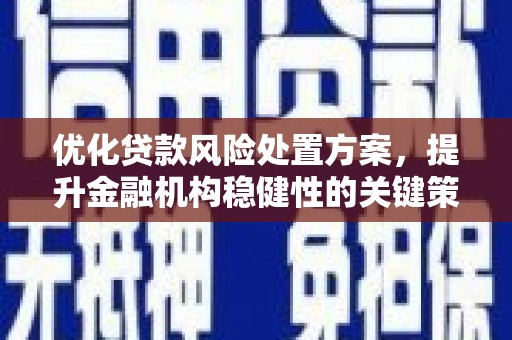 西乌旗优化贷款风险处置方案，提升金融机构稳健性的关键策略