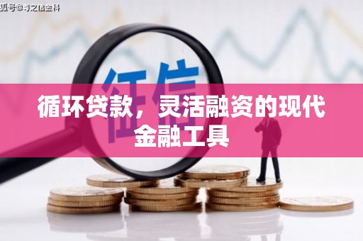 西乌旗循环贷款，灵活融资的现代金融工具