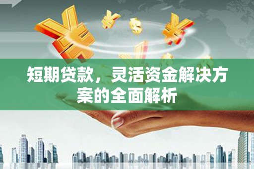 西乌旗短期贷款，灵活资金解决方案的全面解析