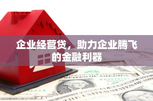 西乌旗企业经营贷，助力企业腾飞的金融利器