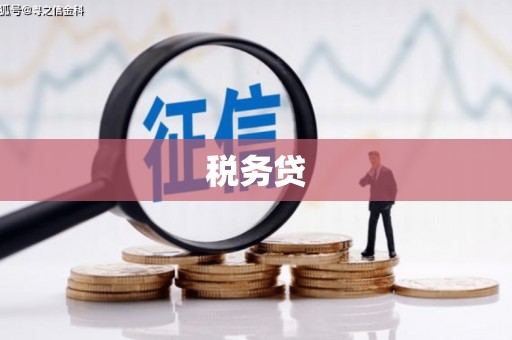 西乌旗税务贷