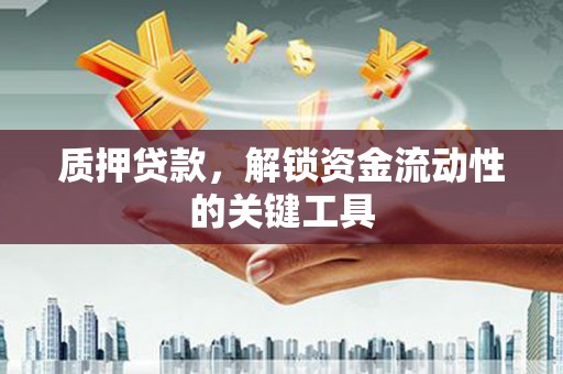 西乌旗质押贷款，解锁资金流动性的关键工具