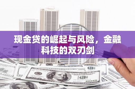 西乌旗现金贷的崛起与风险，金融科技的双刃剑