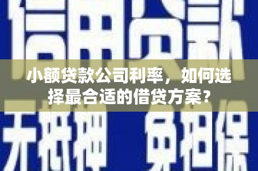 西乌旗小额贷款公司利率，如何选择最合适的借贷方案？