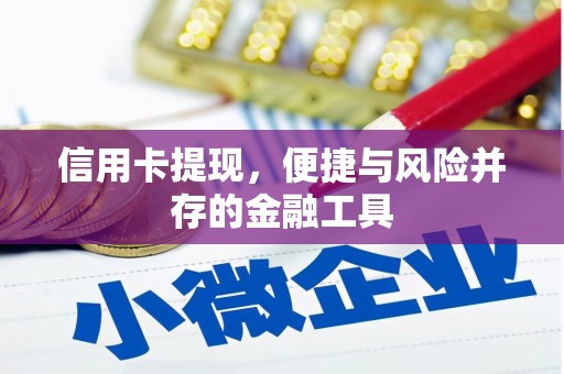西乌旗信用卡提现，便捷与风险并存的金融工具