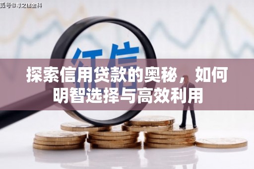 西乌旗探索信用贷款的奥秘，如何明智选择与高效利用