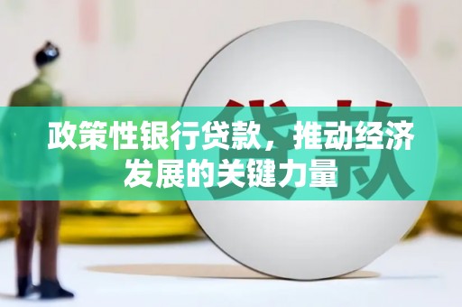 西乌旗政策性银行贷款，推动经济发展的关键力量