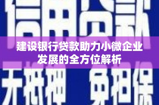 西乌旗建设银行贷款助力小微企业发展的全方位解析