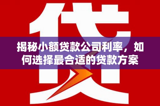 西乌旗揭秘小额贷款公司利率，如何选择最合适的贷款方案
