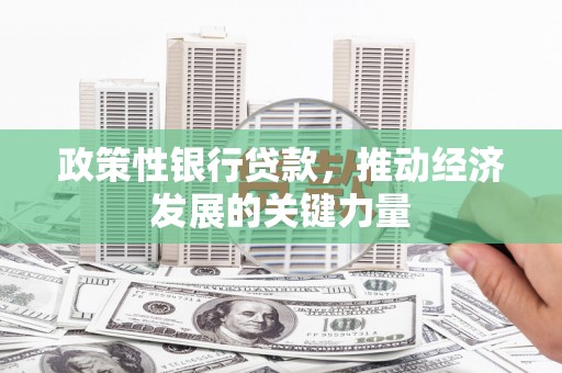 西乌旗政策性银行贷款，推动经济发展的关键力量