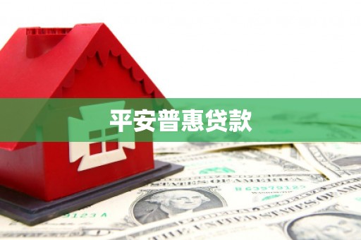 西乌旗平安普惠贷款