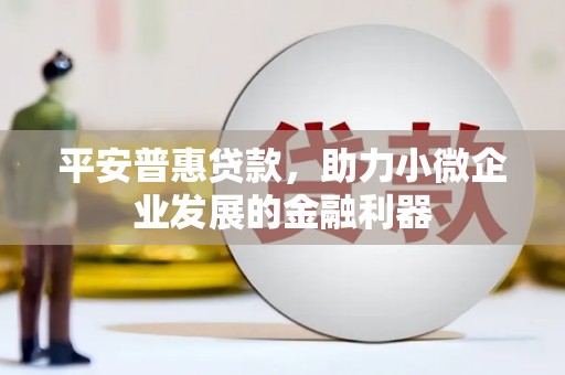 西乌旗平安普惠贷款，助力小微企业发展的金融利器