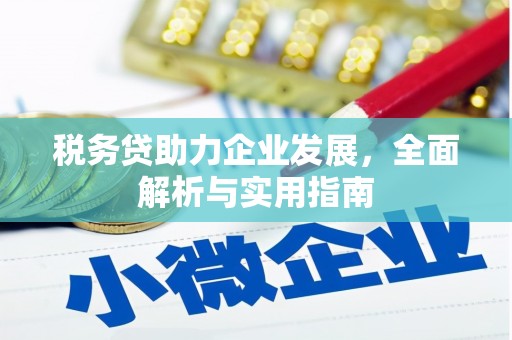 西乌旗税务贷助力企业发展，全面解析与实用指南