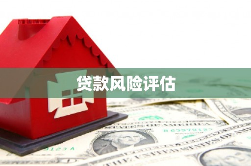 西乌旗贷款风险评估