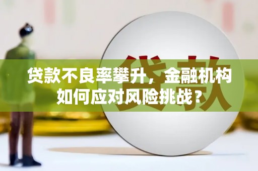 西乌旗贷款不良率攀升，金融机构如何应对风险挑战？