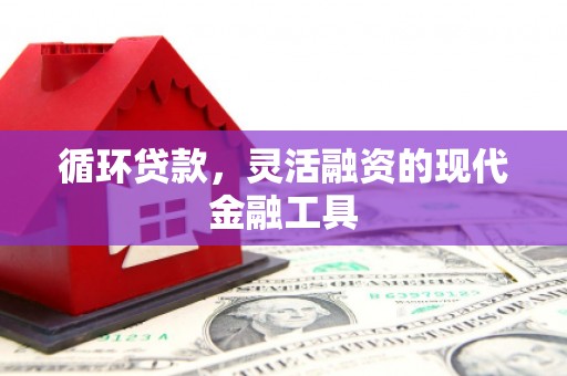 西乌旗循环贷款，灵活融资的现代金融工具
